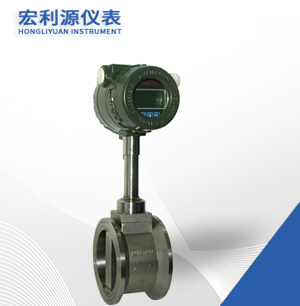 渦街流量計(jì)