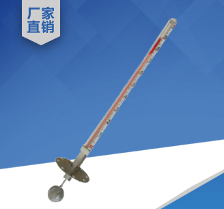 頂裝式磁翻板液位計